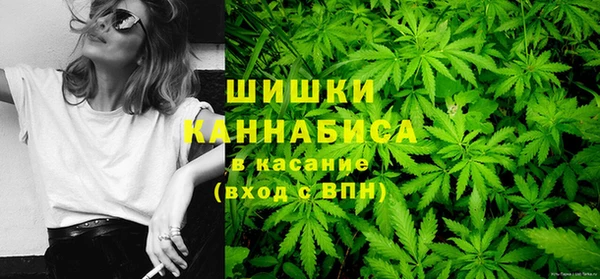 хмурый Липки