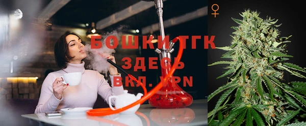 твердый Армянск
