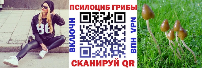 наркота Алдан Псилоцибиновые грибы мицелий